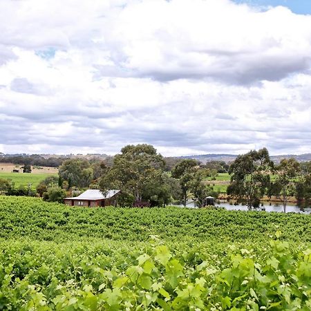 Stonewell Cottages And Vineyards Tanunda Ngoại thất bức ảnh