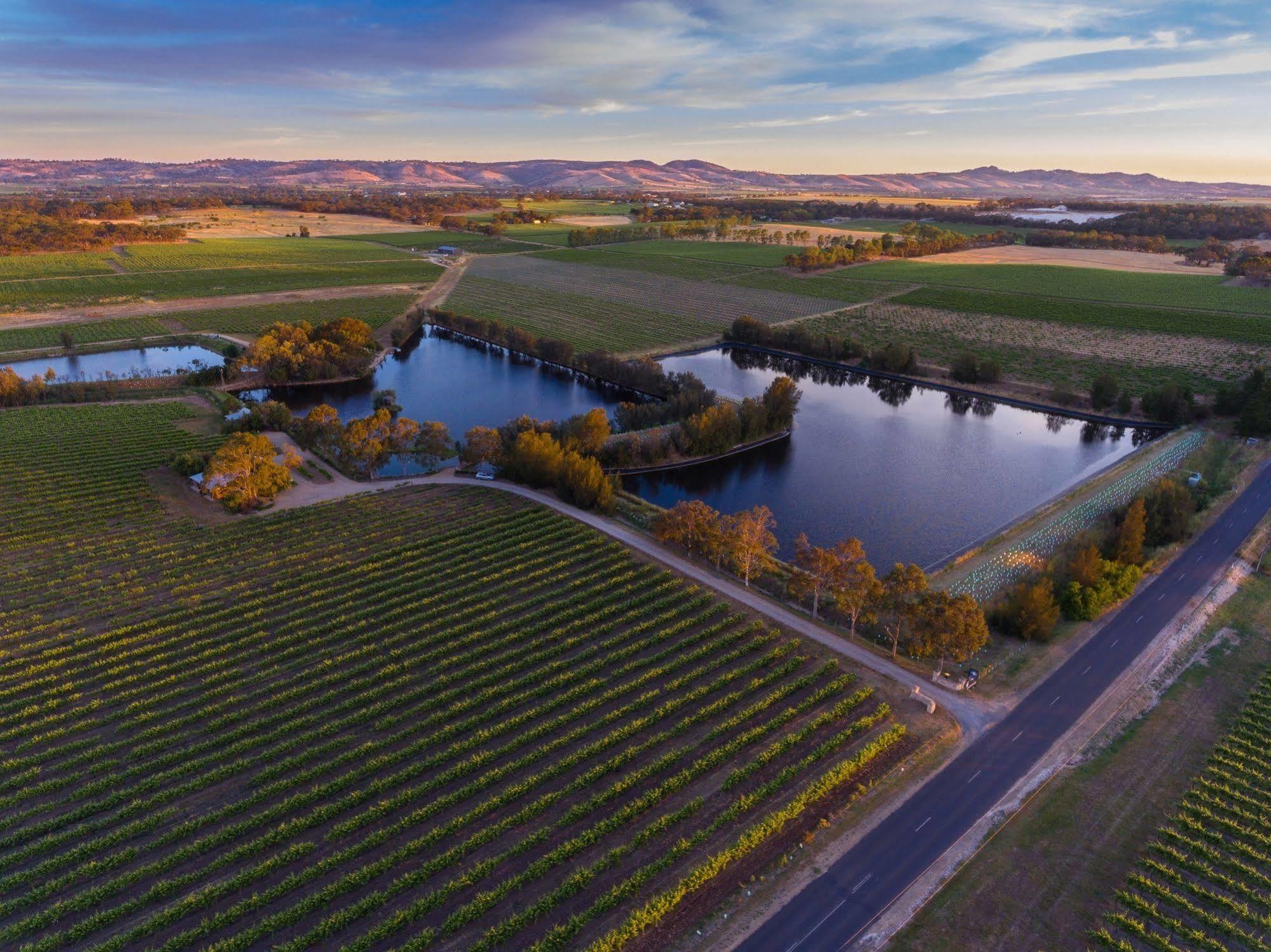 Stonewell Cottages And Vineyards Tanunda Ngoại thất bức ảnh