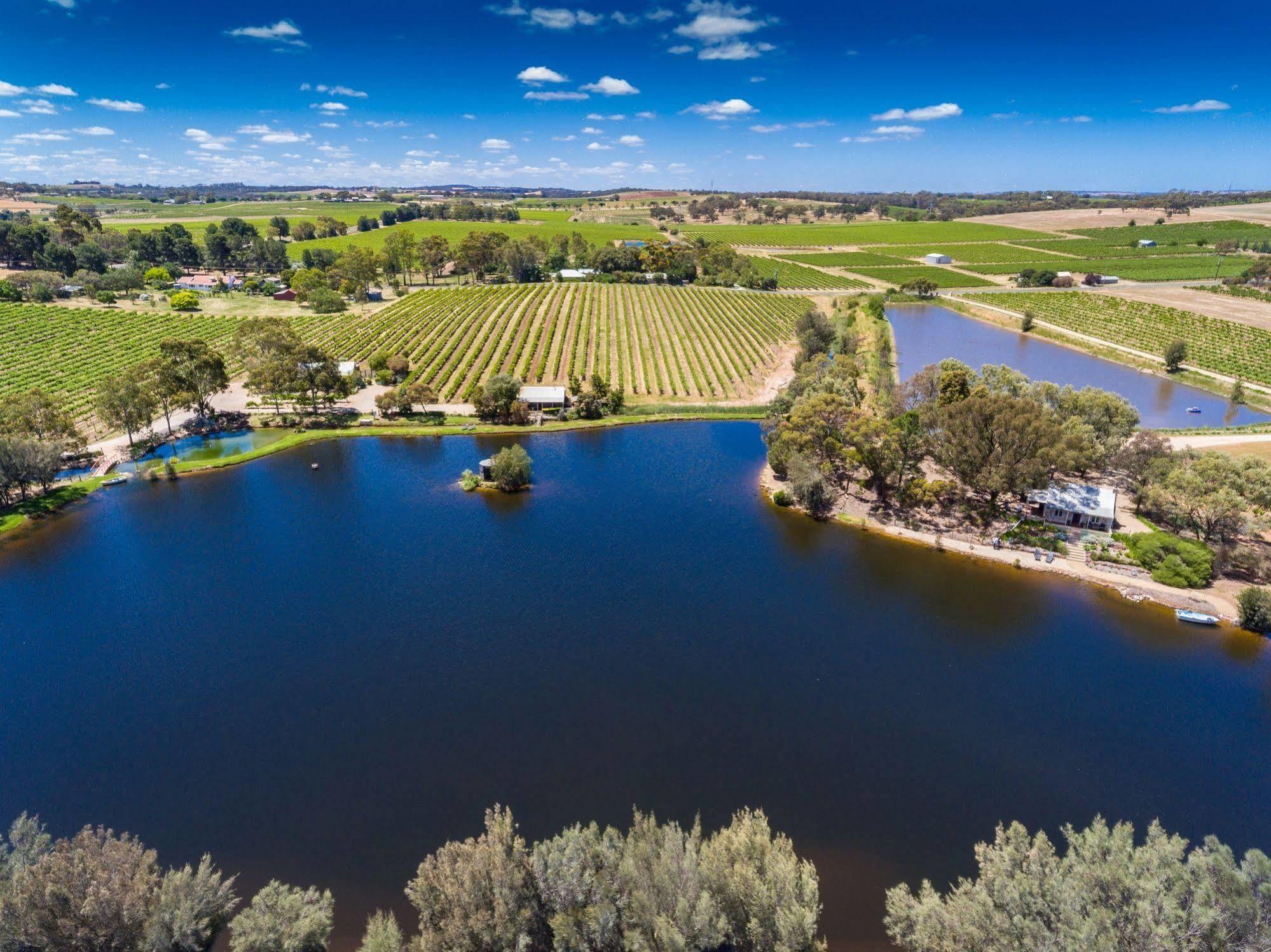 Stonewell Cottages And Vineyards Tanunda Ngoại thất bức ảnh