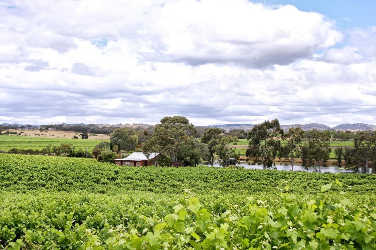 Stonewell Cottages And Vineyards Tanunda Ngoại thất bức ảnh